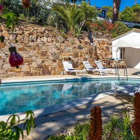 Casa Palmera Con Piscina Privada Vistas Al Mar Y Aire Acondicionado Villa